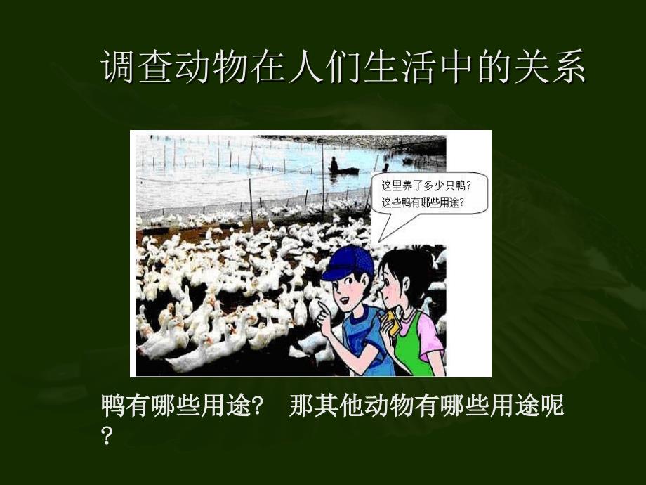 32动物与人类生活的关系_第2页