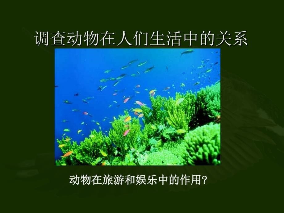 32动物与人类生活的关系_第5页