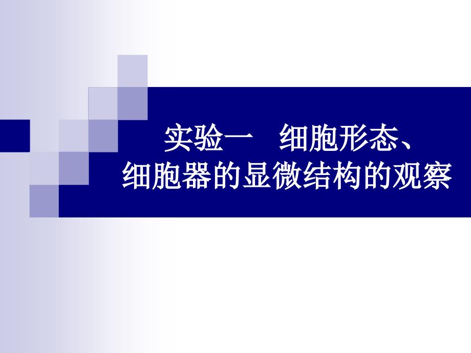 《实验一细胞形态》PPT课件.ppt_第2页