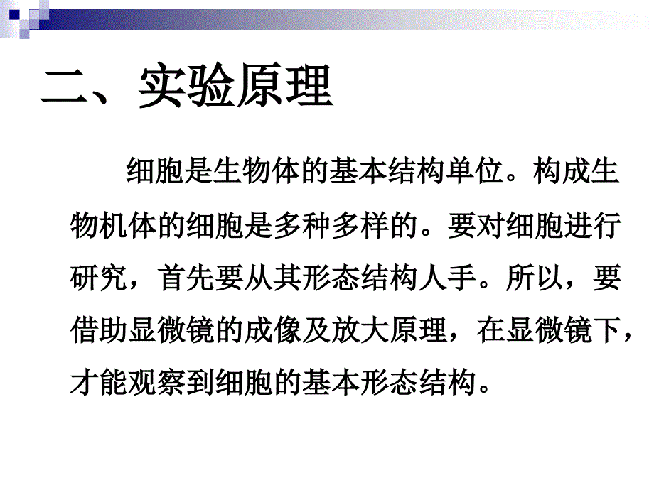 《实验一细胞形态》PPT课件.ppt_第4页