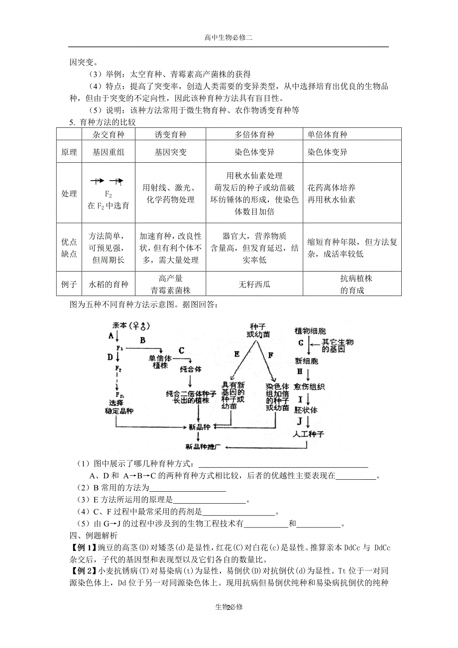 人教版教学教案第19课 从杂交育种到基因工程.doc_第2页