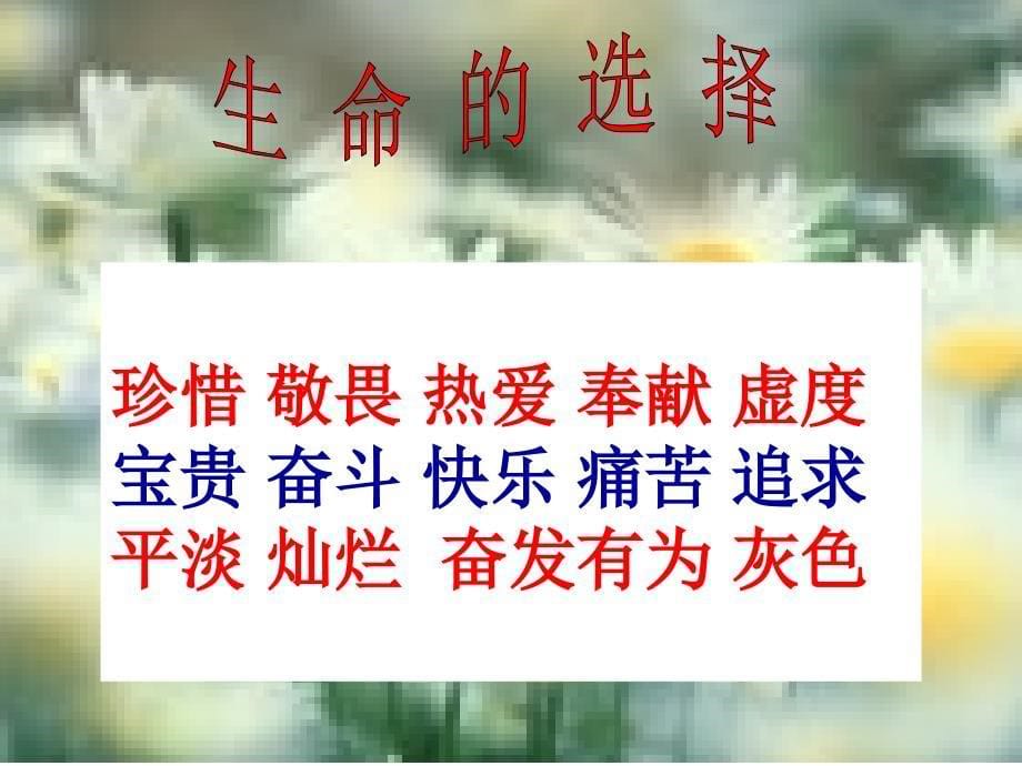 《善待生命-学习论证》课件.ppt_第5页