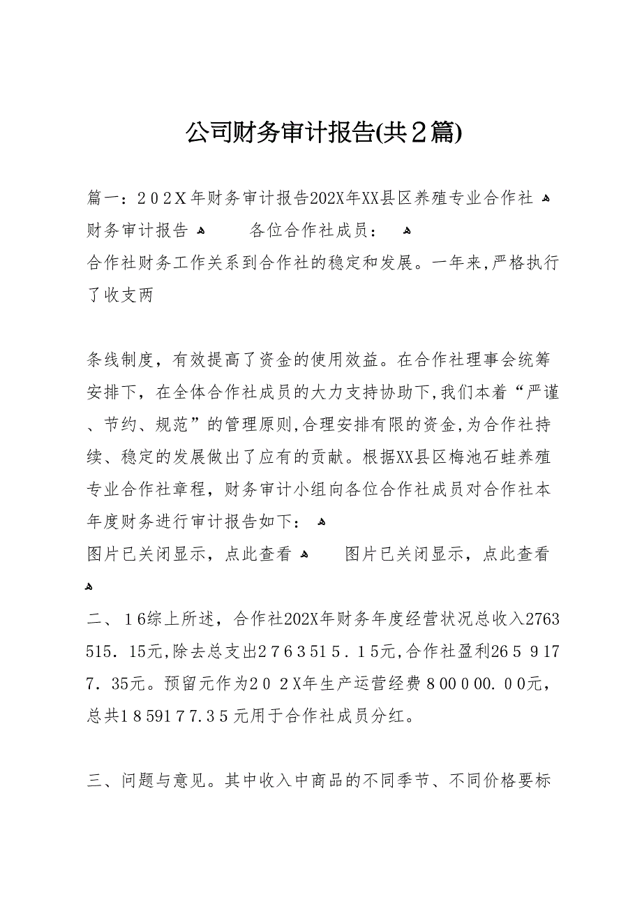 公司财务审计报告共2篇_第1页