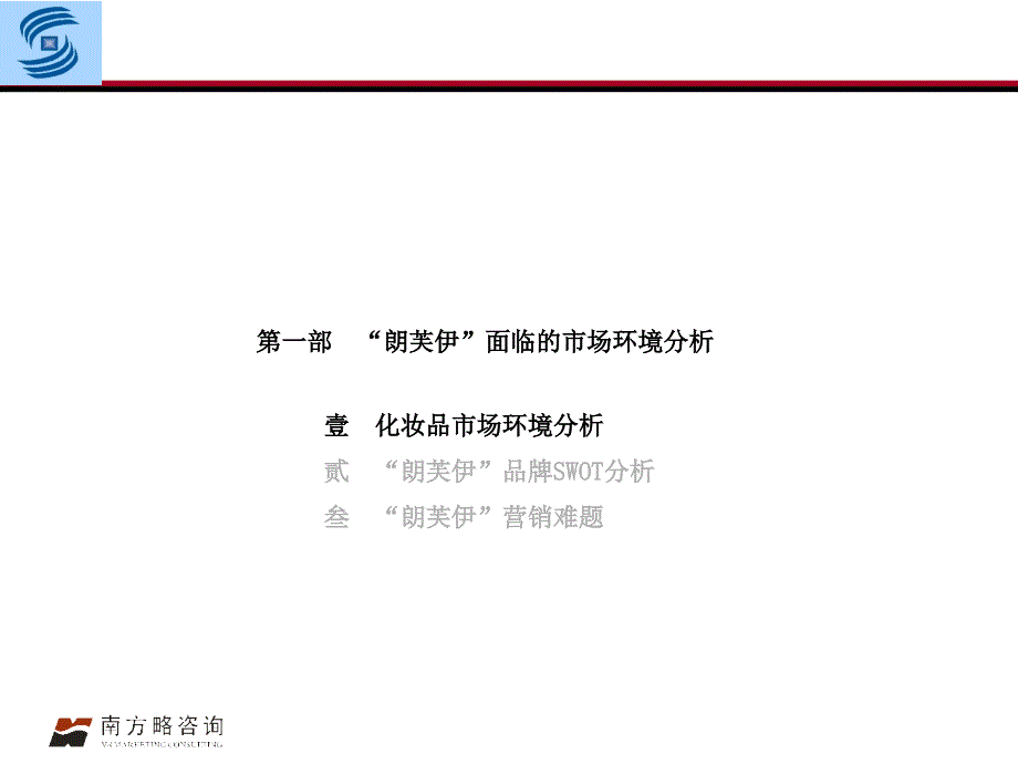 略朗芙伊品牌建设及上市推广PPT63页1_第3页