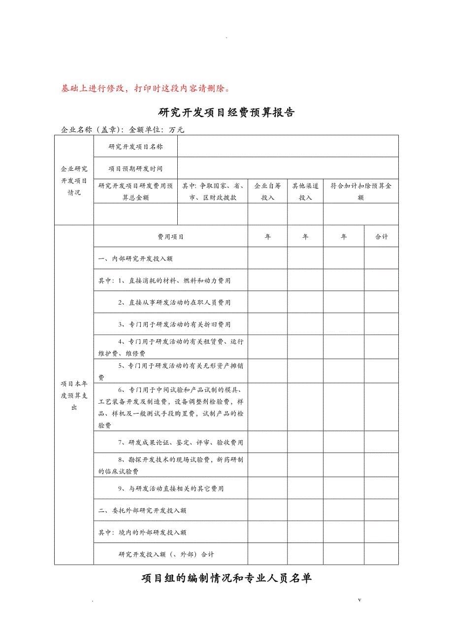 项目立项实施计划书_第5页