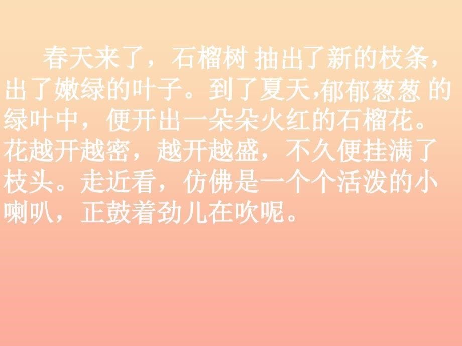 三年级语文上册第5单元16石榴课件苏教版_第5页