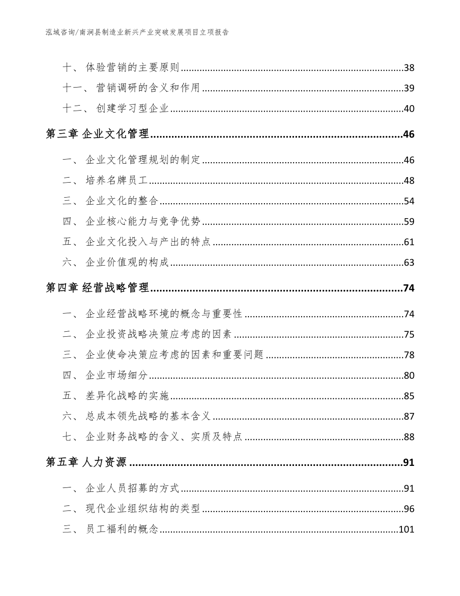 南涧县制造业新兴产业突破发展项目立项报告模板范本_第2页