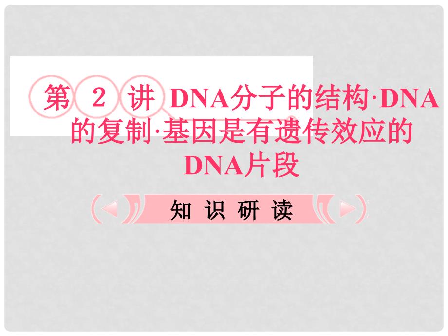 高考生物总复习 3.2《DNA分子的结构&#183;DNA的复制&#183;基因是有遗传效应的片段》知识研习课件 新人教版必修2_第1页