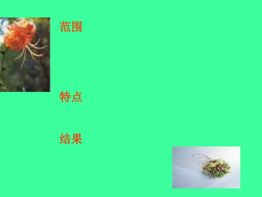 减数分裂过程中染色体DNA的变化课件_第3页