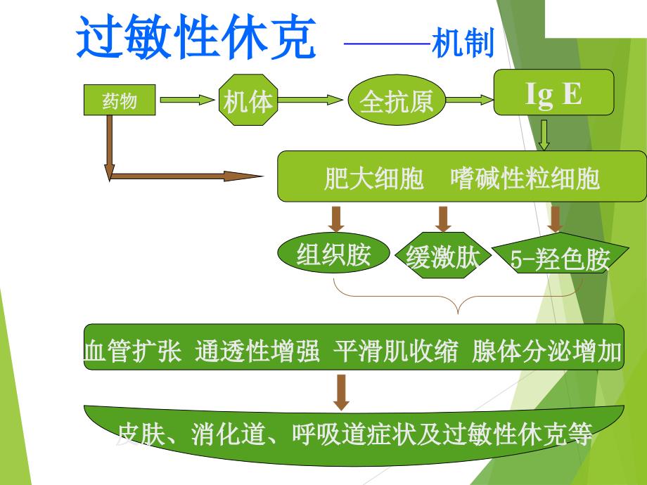 过敏性休克的处理课件_第4页