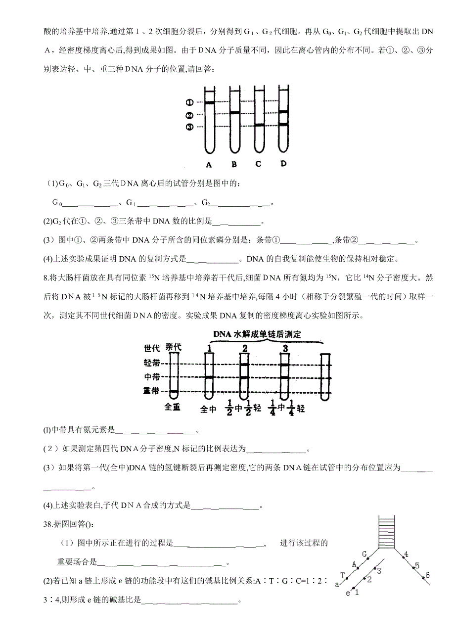 《DNA的复制》习题精选_第4页