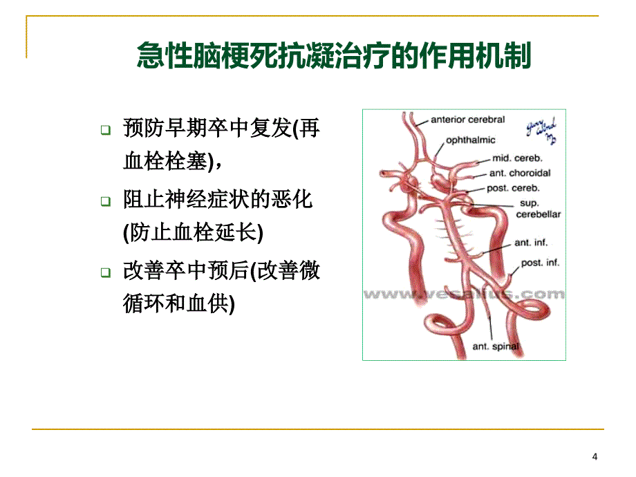 抗凝药物治疗与预防缺血性卒中的进展PPT课件_第4页