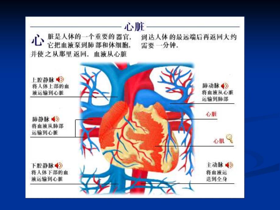 课件：心力衰竭课件内科学第八版.ppt_第2页