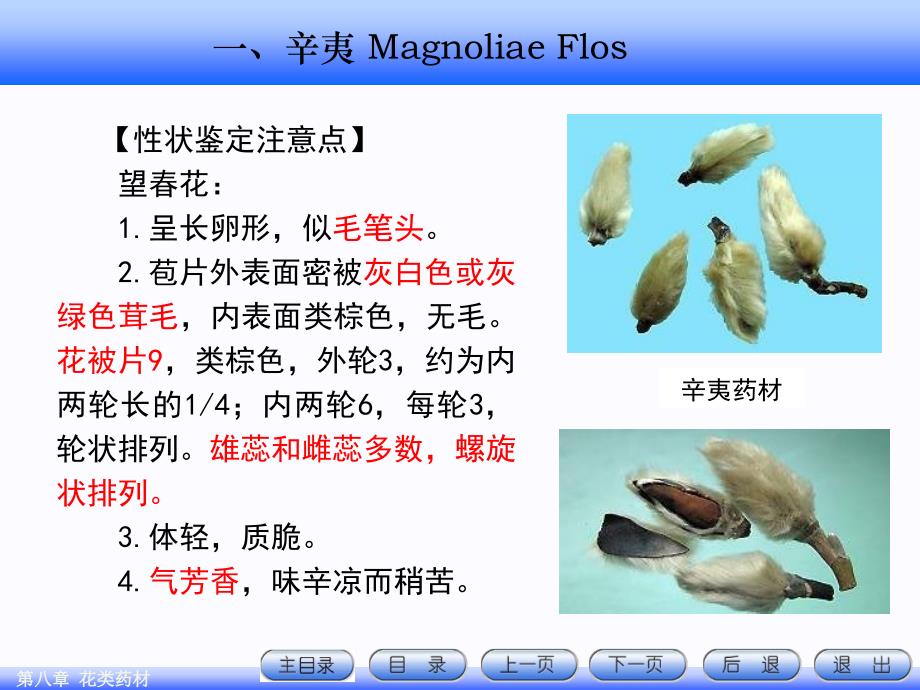 8.花类药材资料12_第3页