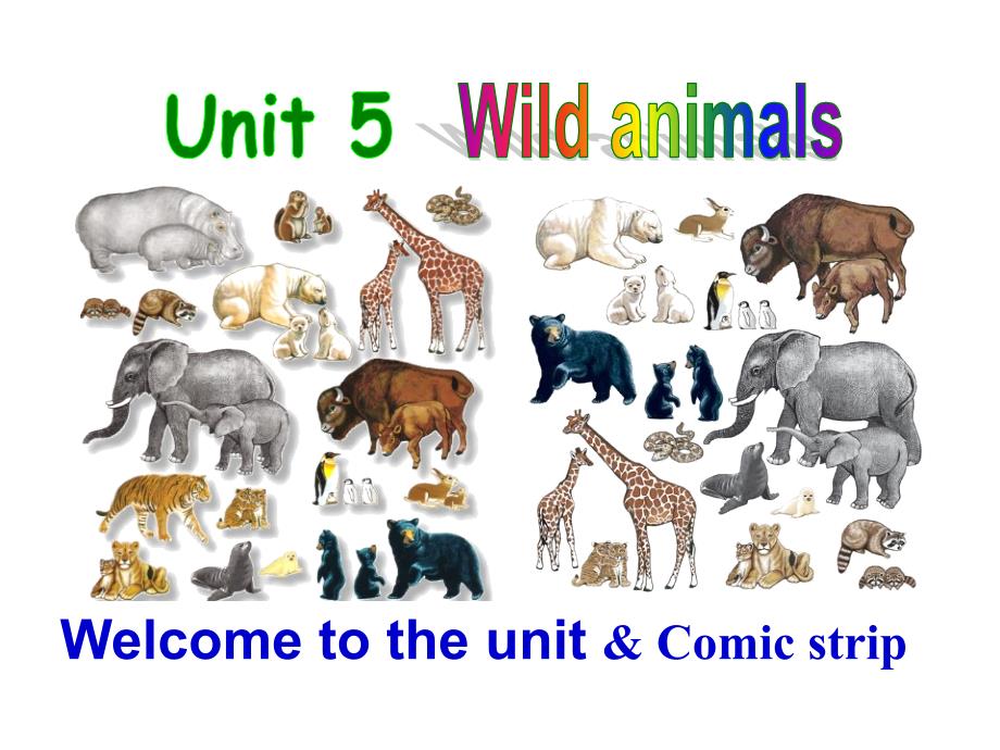 牛津译林英语八Unit5Wildanimalswelcometotheunit公开课教学课件共52张PPT_第4页