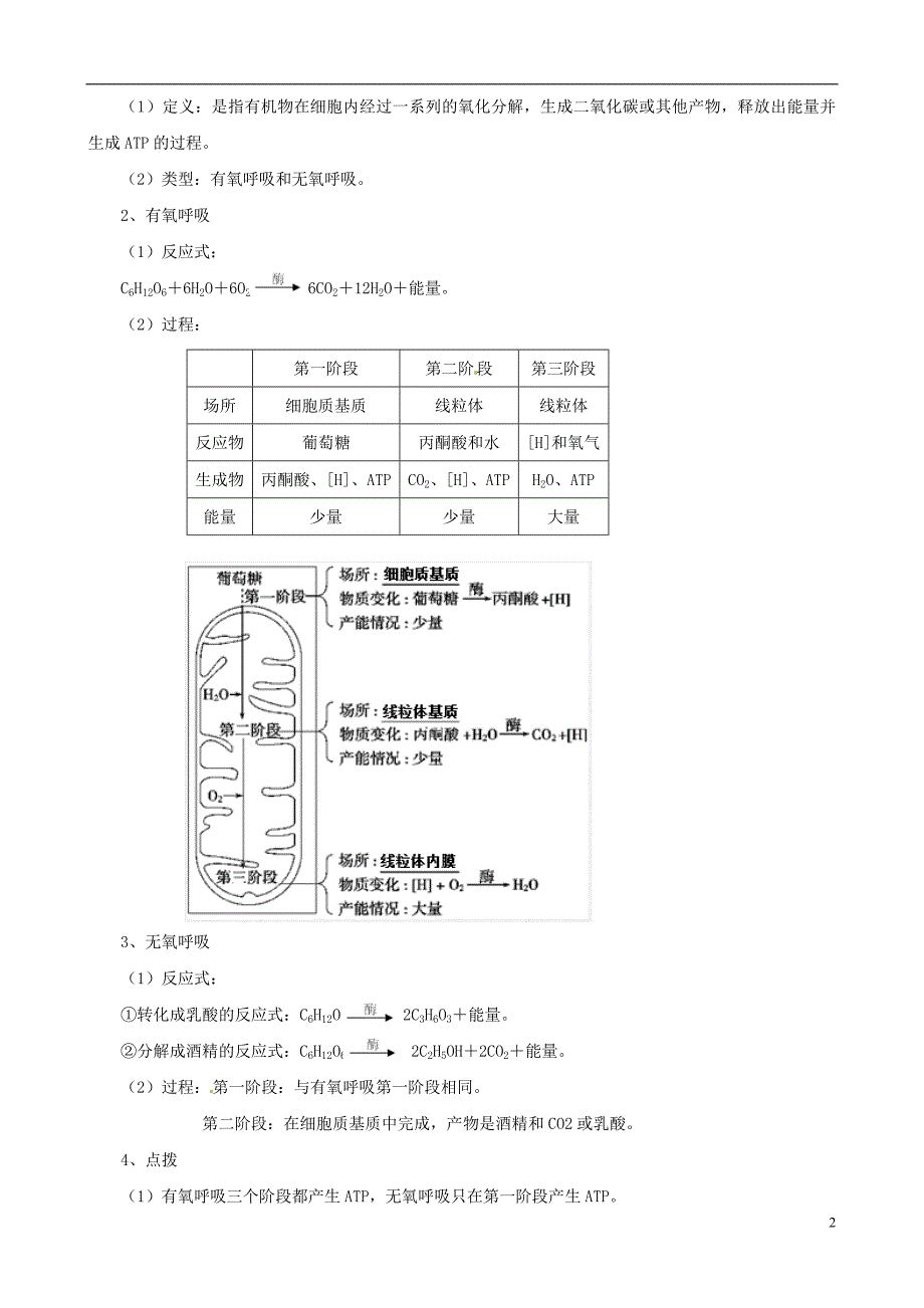 2013版高考生物一轮精品复习52细胞的能量“通货”ATP、ATP的主要来源细胞呼吸学案新人教版必修1_第2页