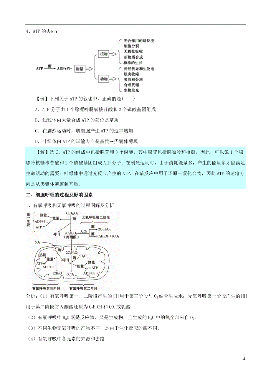 2013版高考生物一轮精品复习52细胞的能量“通货”ATP、ATP的主要来源细胞呼吸学案新人教版必修1_第4页