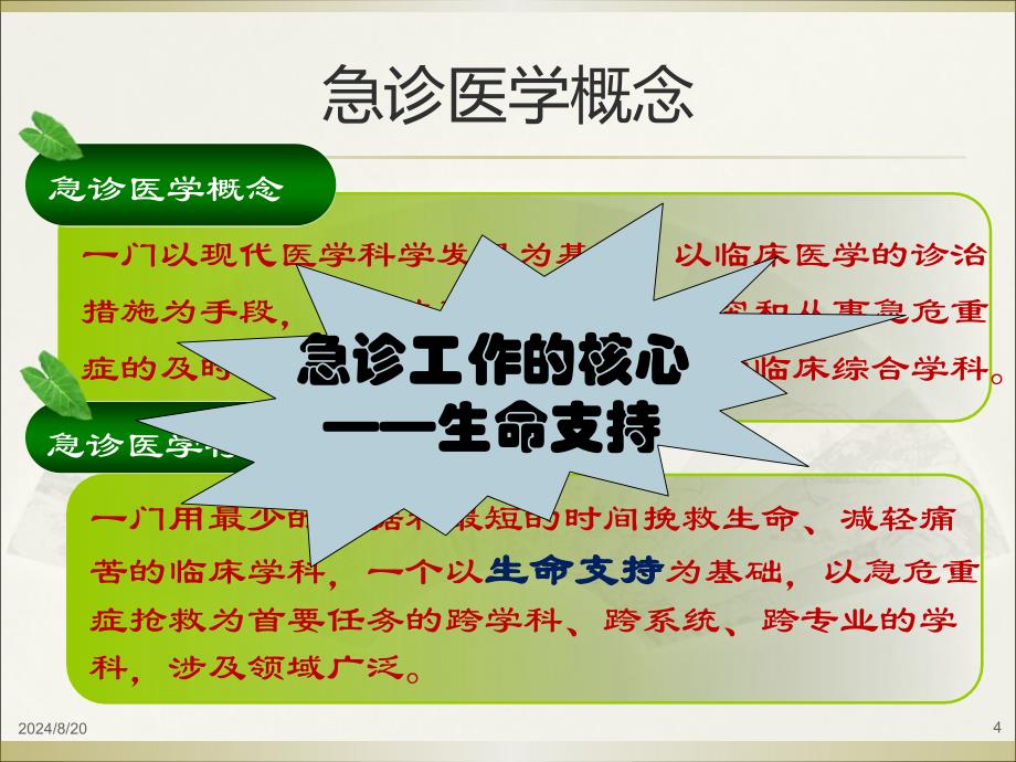 急诊医疗安全与质量管理PPT课件.ppt_第4页