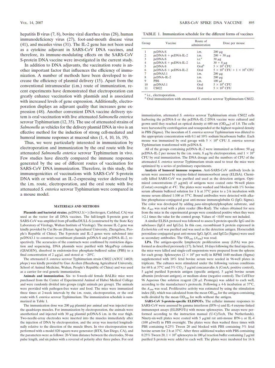 【病毒外文文献】2007 Induction of Specific Immune Responses by Severe Acute Respiratory Syndrome Coronavirus Spike DNA Vaccine with or w_第2页