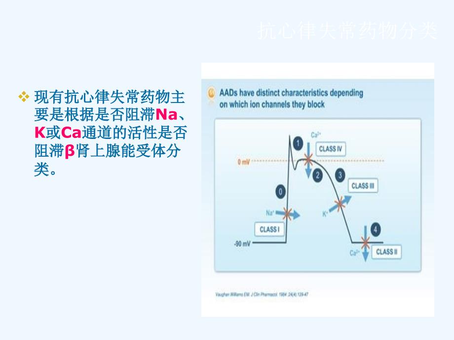 吴永全-抗心律失常药物副作用_第2页