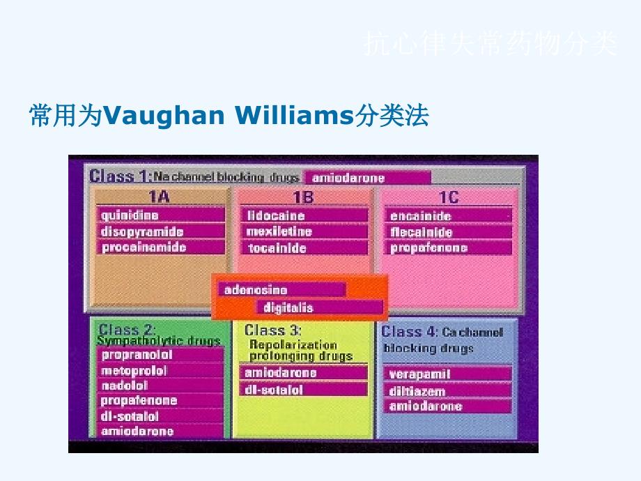 吴永全-抗心律失常药物副作用_第3页