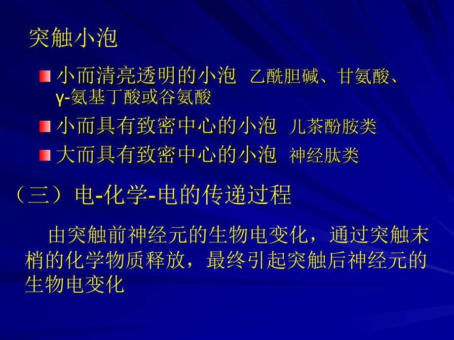 二突触的微细结构教学课件_第3页