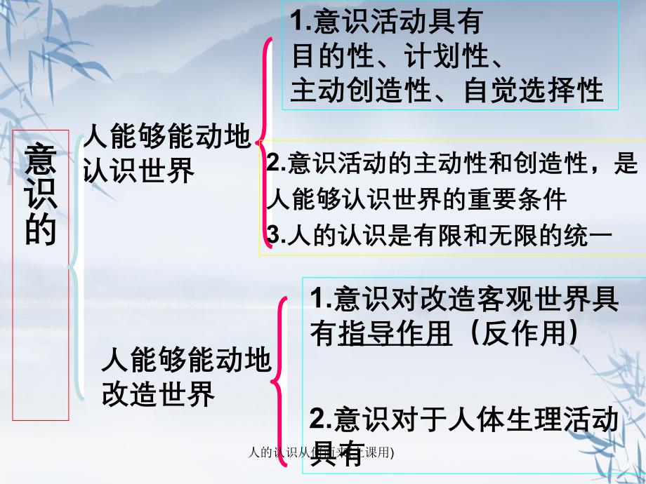 人的认识从何而来上课用_第1页