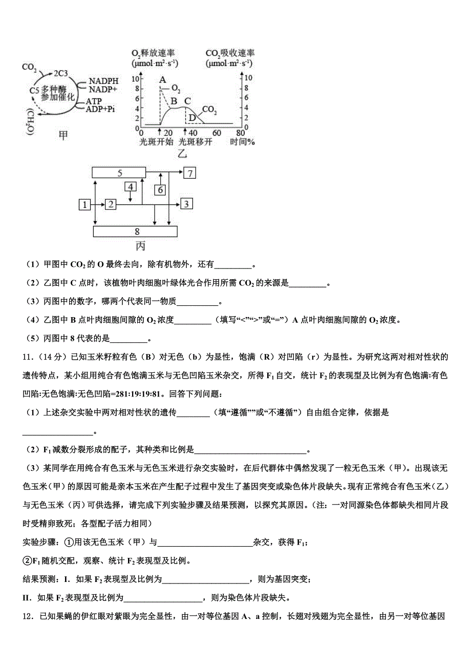 2023届广东省揭阳普宁市高三下学期第一次联考生物试卷（含答案解析）.doc_第4页