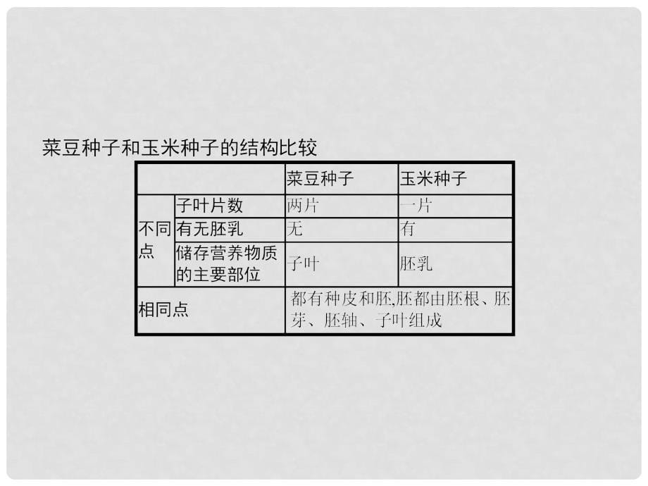 七年级生物上册 3.1.2 种子植物课件 （新版）新人教版_第5页