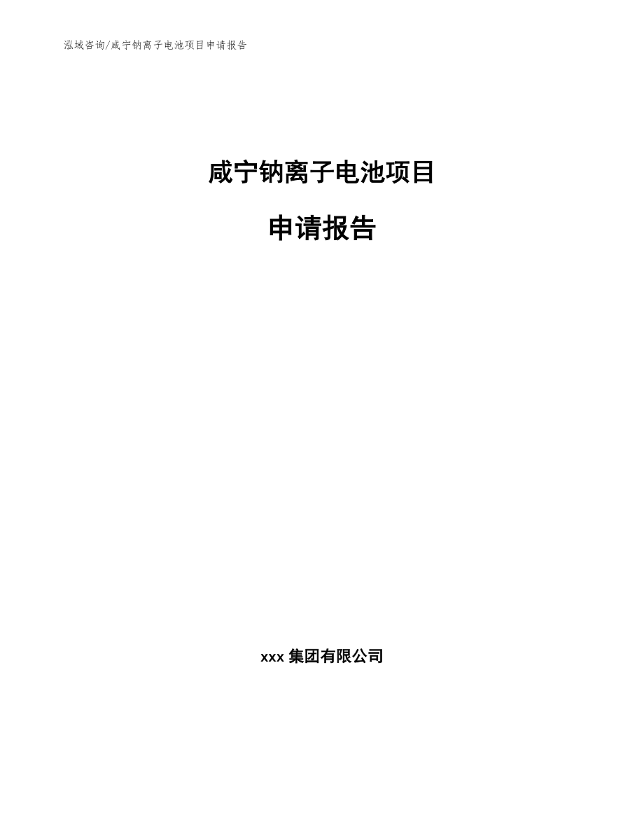 咸宁钠离子电池项目申请报告_第1页