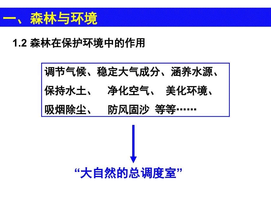 2、2森林的开发和保护——以亚马孙热带雨林为例_第5页