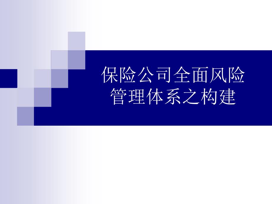 保险公司全面风险管理体系之构建_第1页