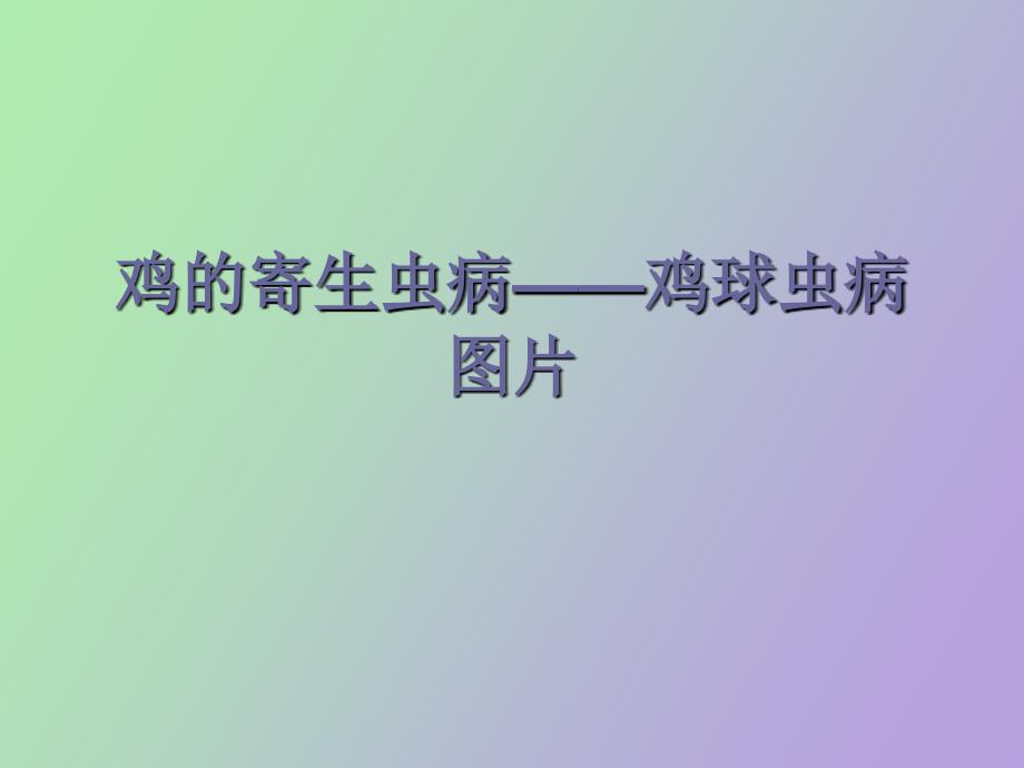 鸡的寄生虫病_第1页