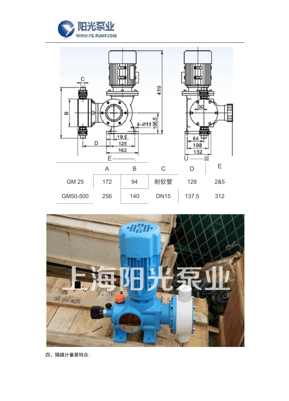 隔膜计量泵介绍及材料_第2页