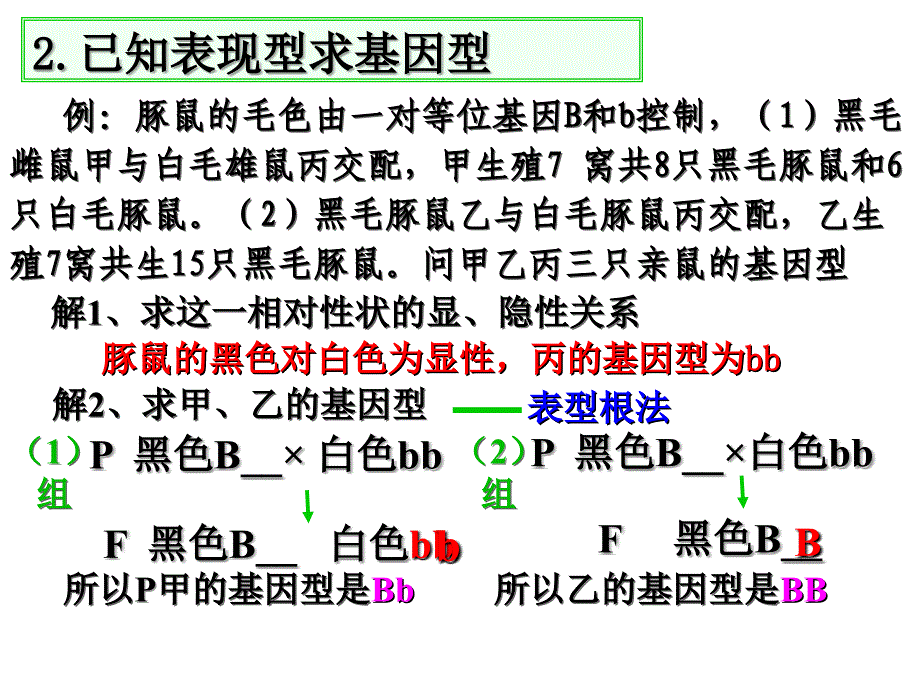 遗传因子的发现经典例题_第3页