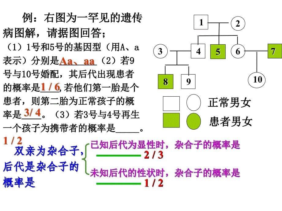 遗传因子的发现经典例题_第5页