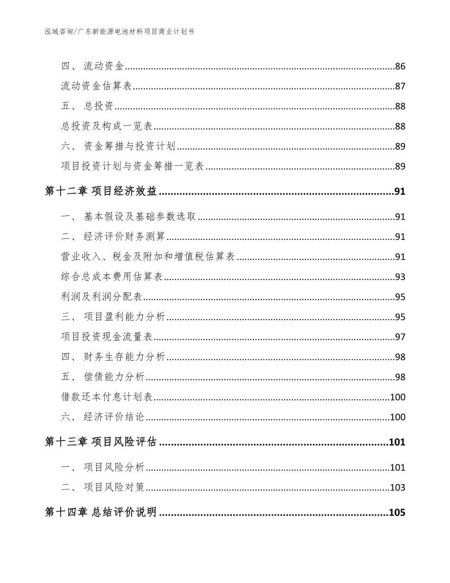 广东新能源电池材料项目商业计划书_第5页