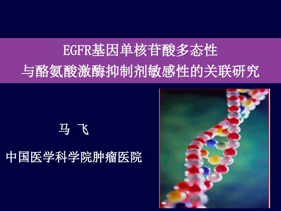 EGFR基因单核苷酸多态性与酪氨酸激酶抑制剂敏感性的关联研究_第1页