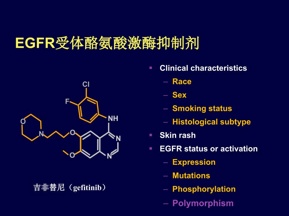 EGFR基因单核苷酸多态性与酪氨酸激酶抑制剂敏感性的关联研究_第4页