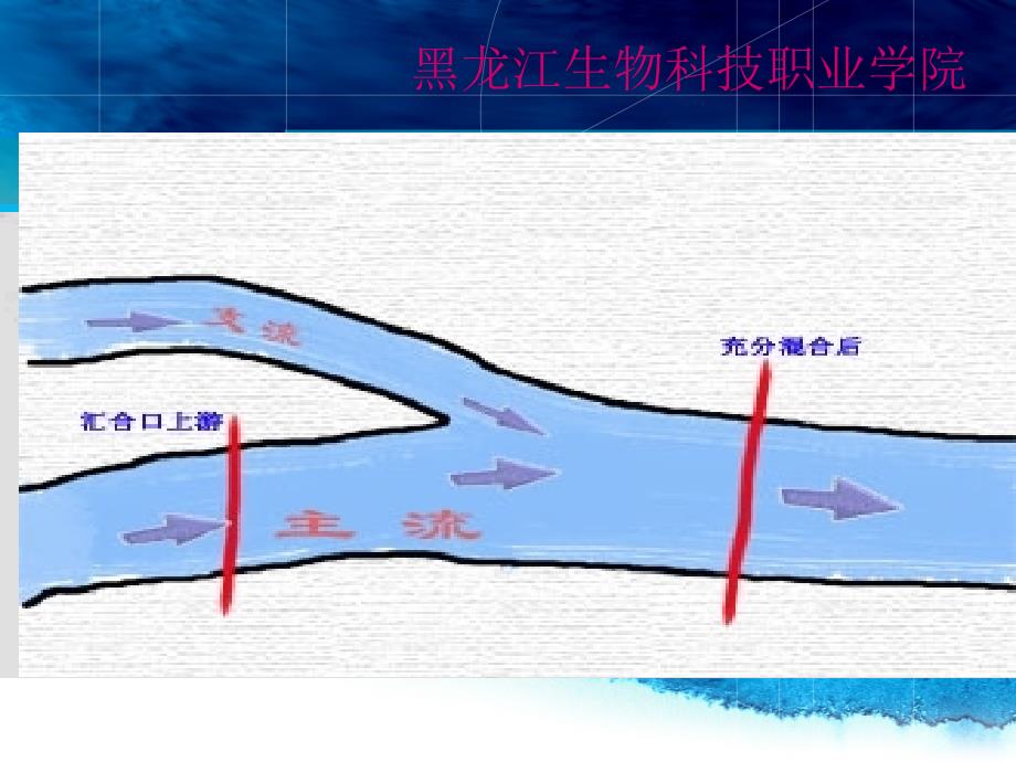 水质监测方案的制订课件_第4页