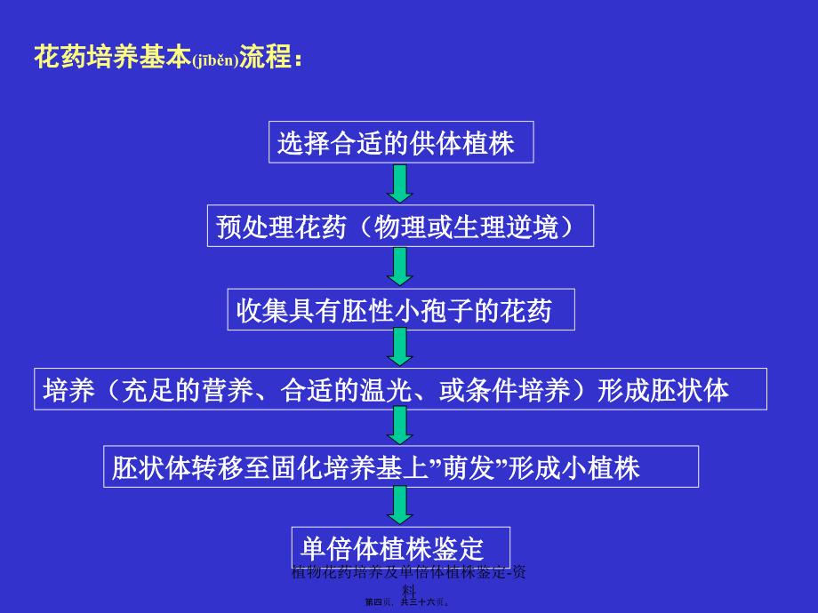 植物花药培养及单倍体植株鉴定资料课件_第4页