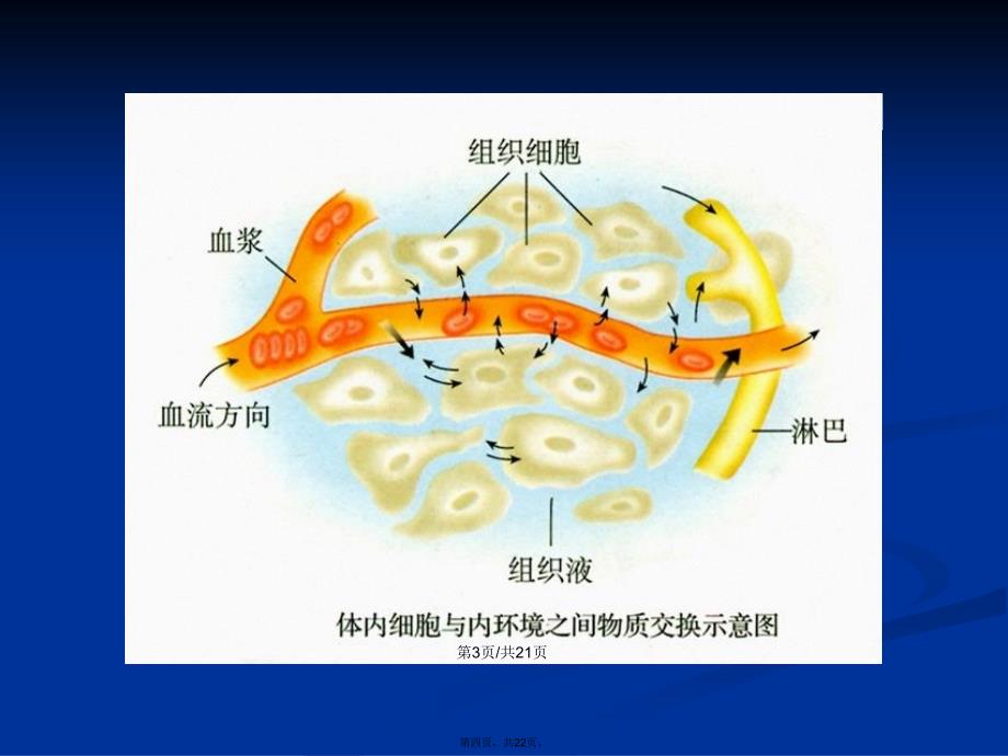 必修三人体内环境的稳态学习教案_第4页