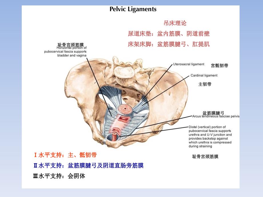 sling手术方式选择的思考_第2页