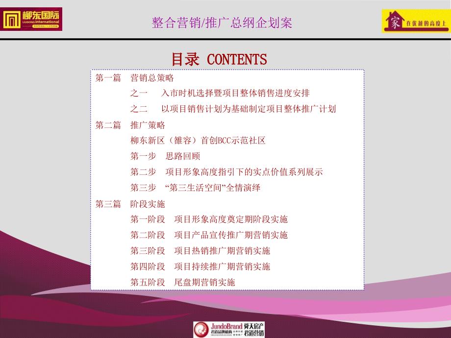 柳东国际整合营销推广总纲企划案.ppt_第2页