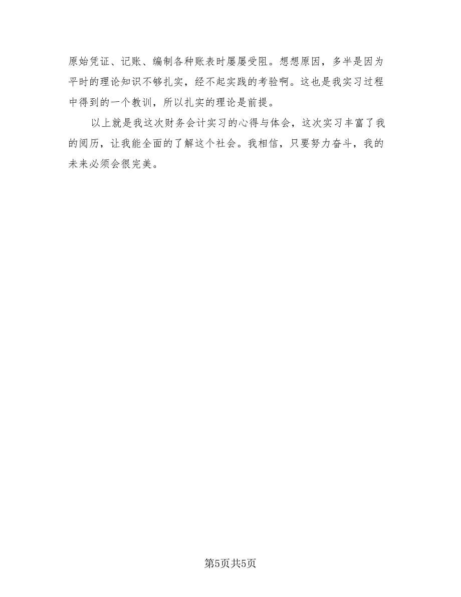 财务实习心得总结经典（2篇）.doc_第5页