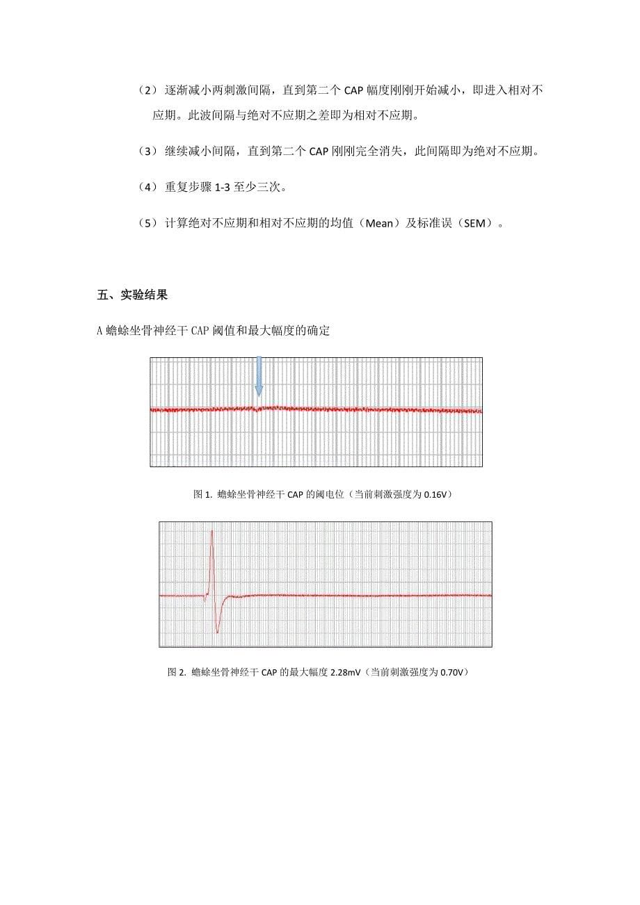 生理实验报告神经干复合动作电位_第5页