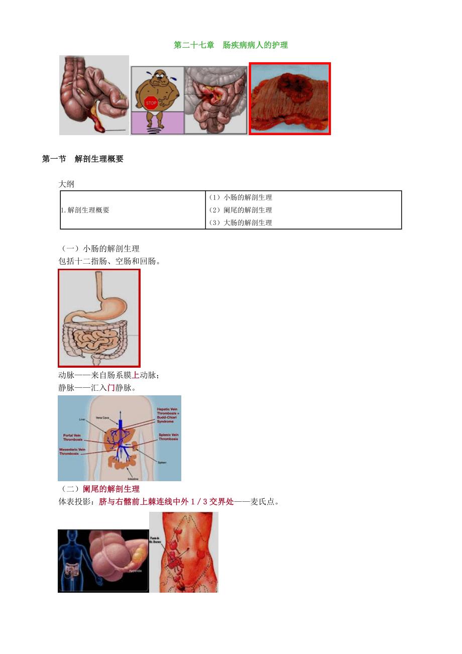 初级护师考试辅导外科护理学第二十七章肠疾病病人的护理_第1页