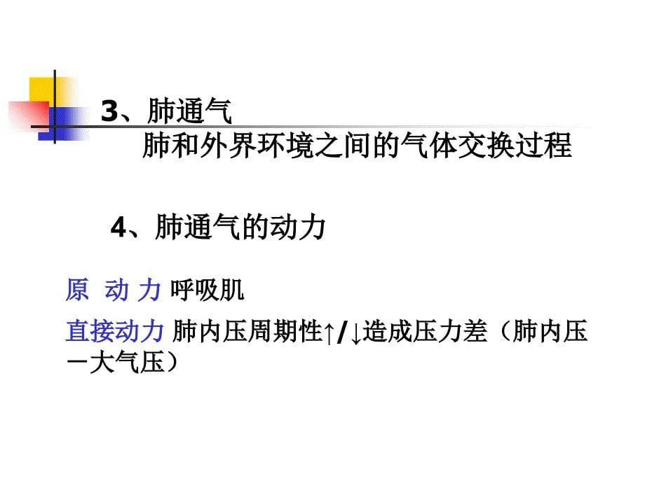 人体解剖生理学 第五章 呼吸系统下 课件_第5页