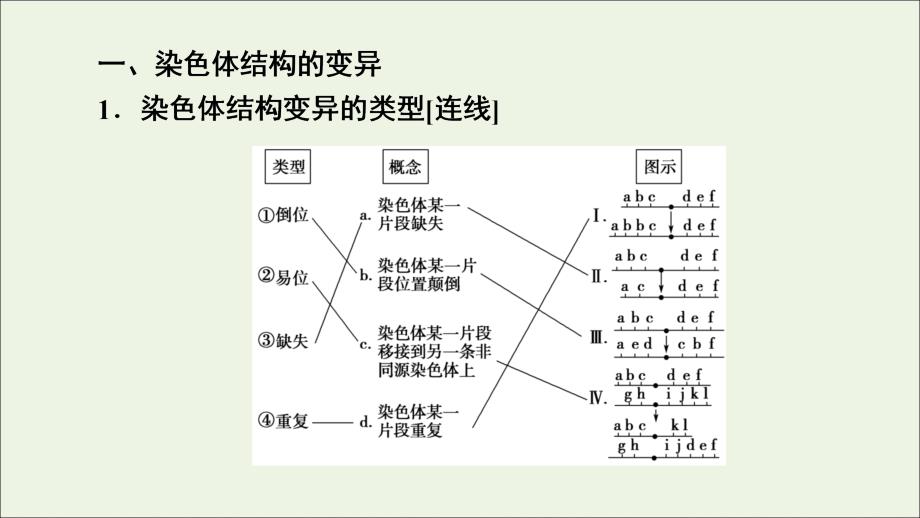 高中生物第5章第2节染色体变异课件新人教版必修209271317_第4页