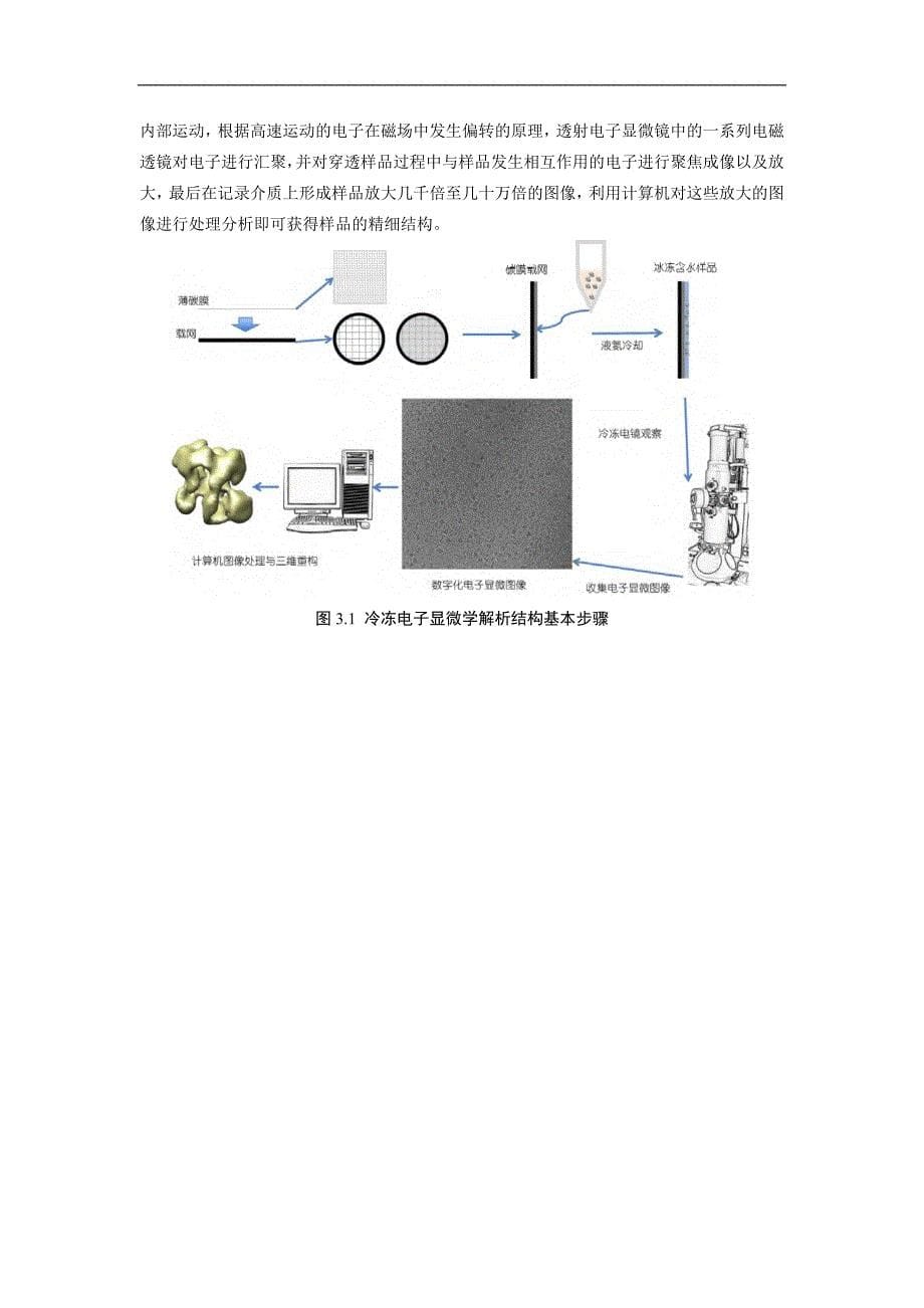 冷冻电镜简介_第5页